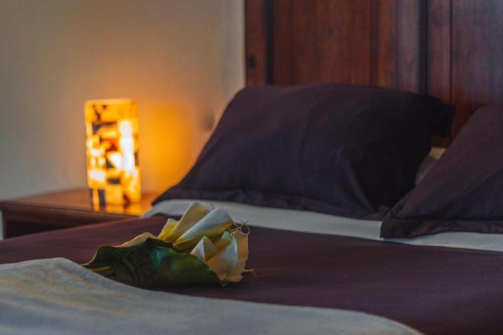 Cortijo La Casona & Bungalow Al Pie De La Montana San Cristóbal de Las Casas Eksteriør bilde