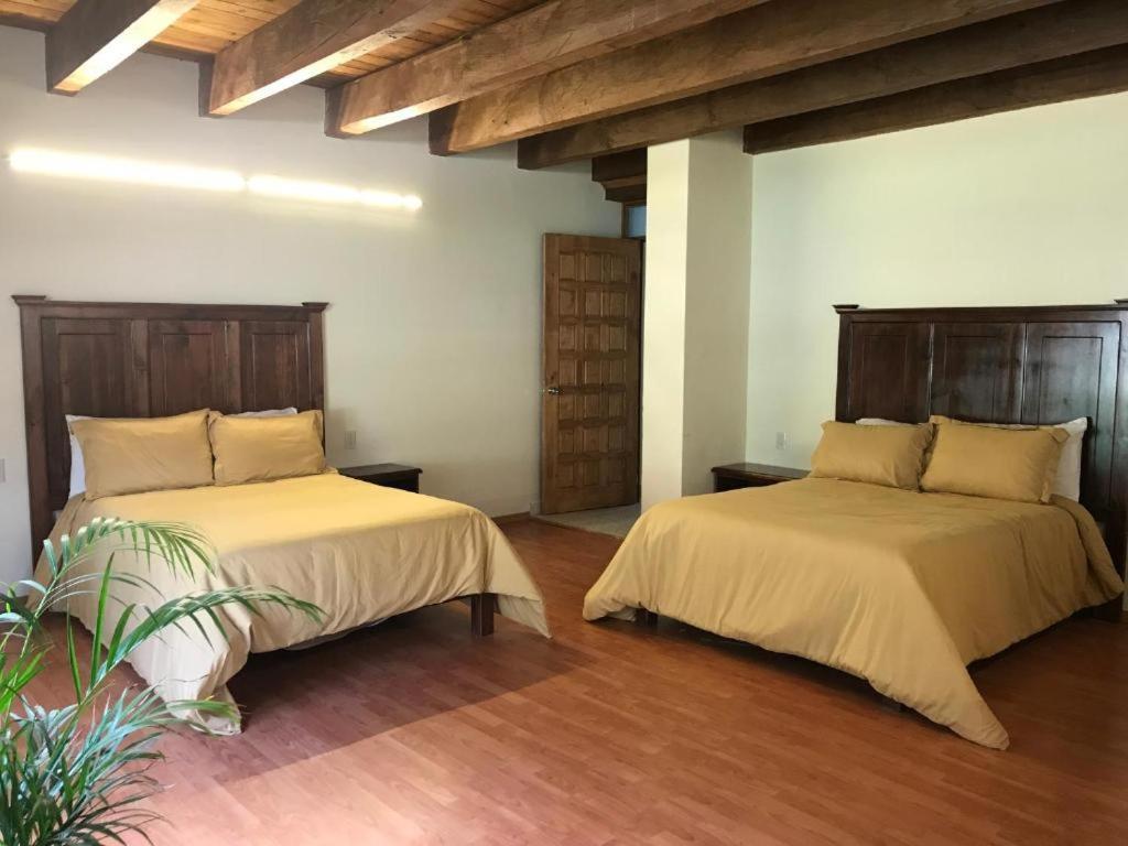 Cortijo La Casona & Bungalow Al Pie De La Montana San Cristóbal de Las Casas Eksteriør bilde